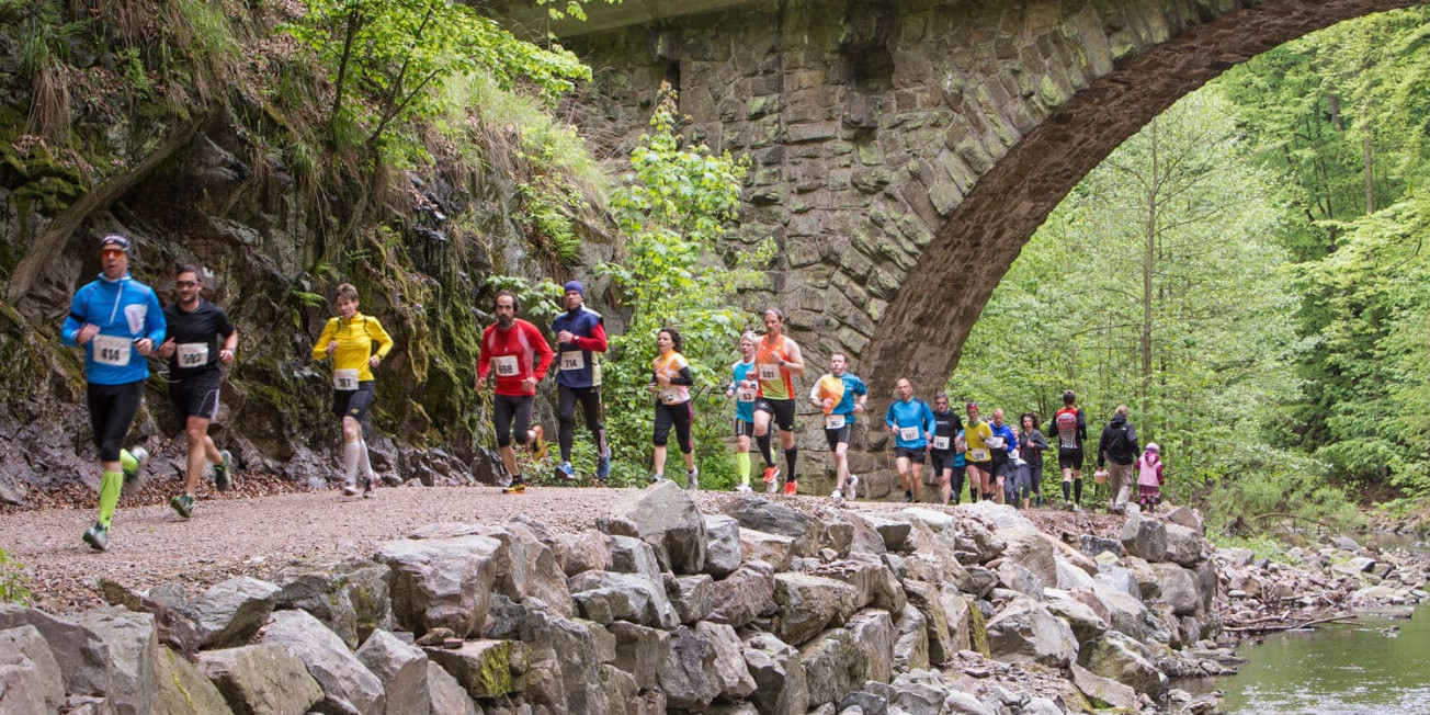 Lauf in den Frühling in Freital